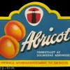 017